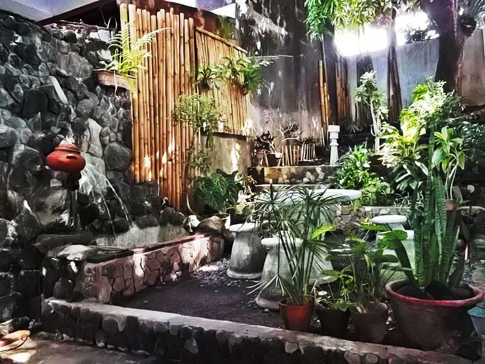 Balay De La Rama Bed & Breakfast Legazpi Ngoại thất bức ảnh