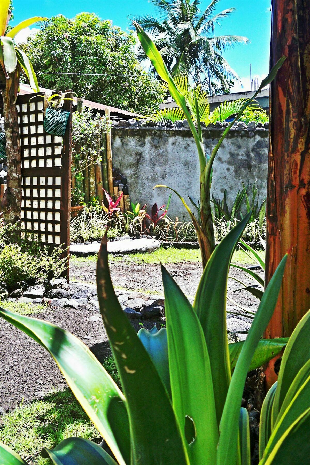 Balay De La Rama Bed & Breakfast Legazpi Ngoại thất bức ảnh